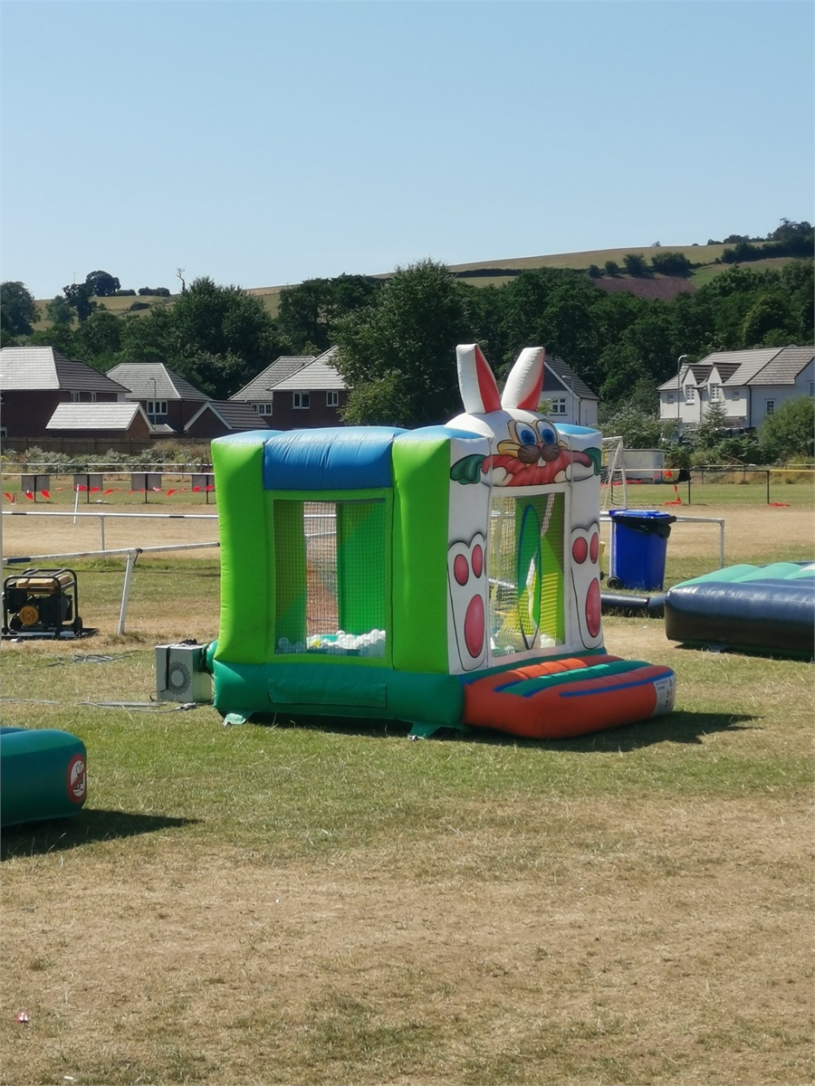 Peter Rabbit Ball Pond Hire - Entertainment in essex, London and ...